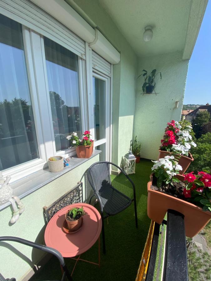 Oliaparman Apartment Eger Exterior foto